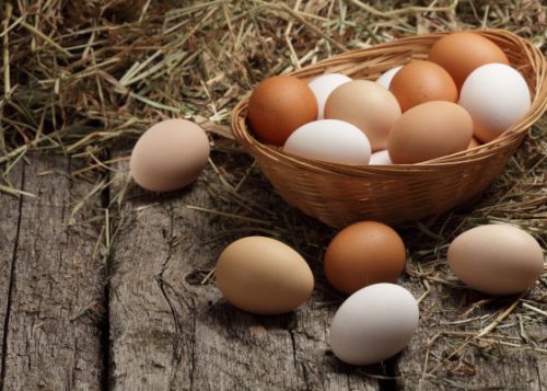 apports nutritionnels des oeufs