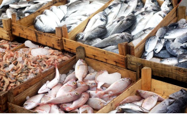 Poissons et crustacés