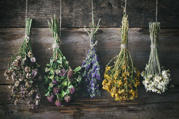 fleurs séchées et décoration d'intérieur