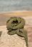 Hemp square Khaki - Couleur Chanvre